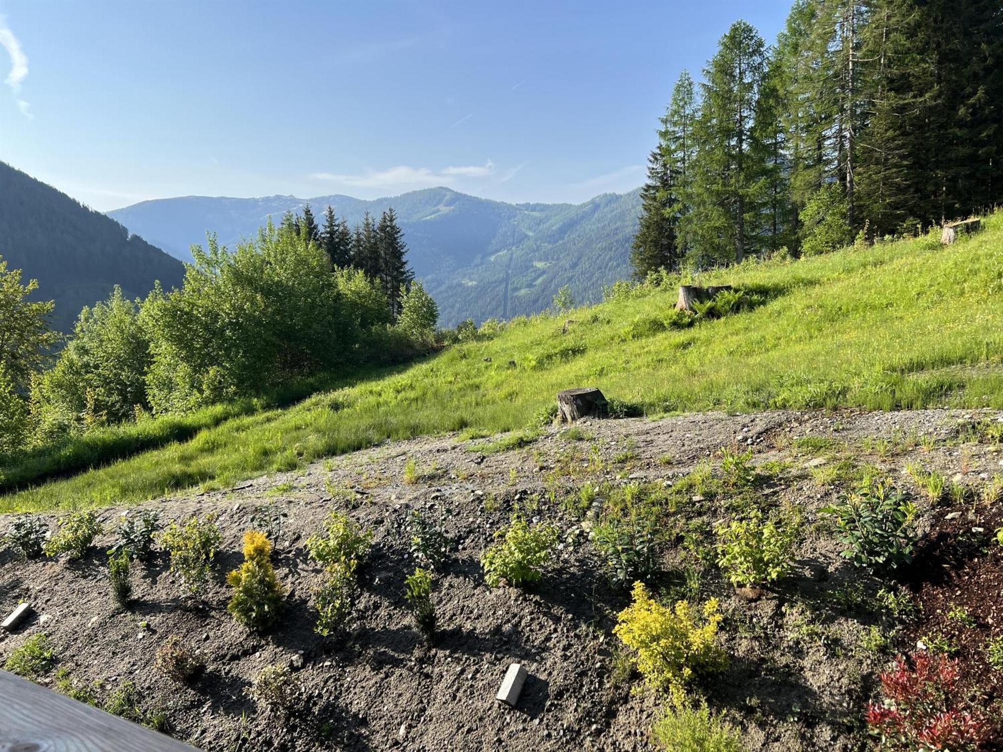 Chalet Tannalm Бад Клайнкирххайм Екстериор снимка